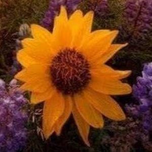 Meet your Posher, Marla